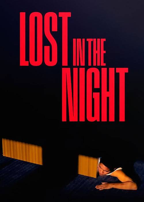 دانلود فیلم سینمایی گمشده در شب با دوبله فارسی Lost in the Night 2023